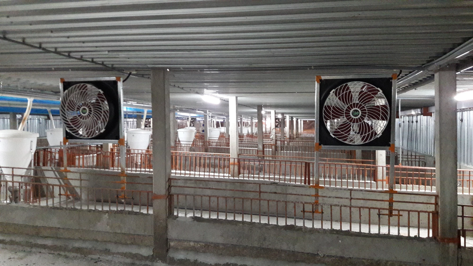養豬場