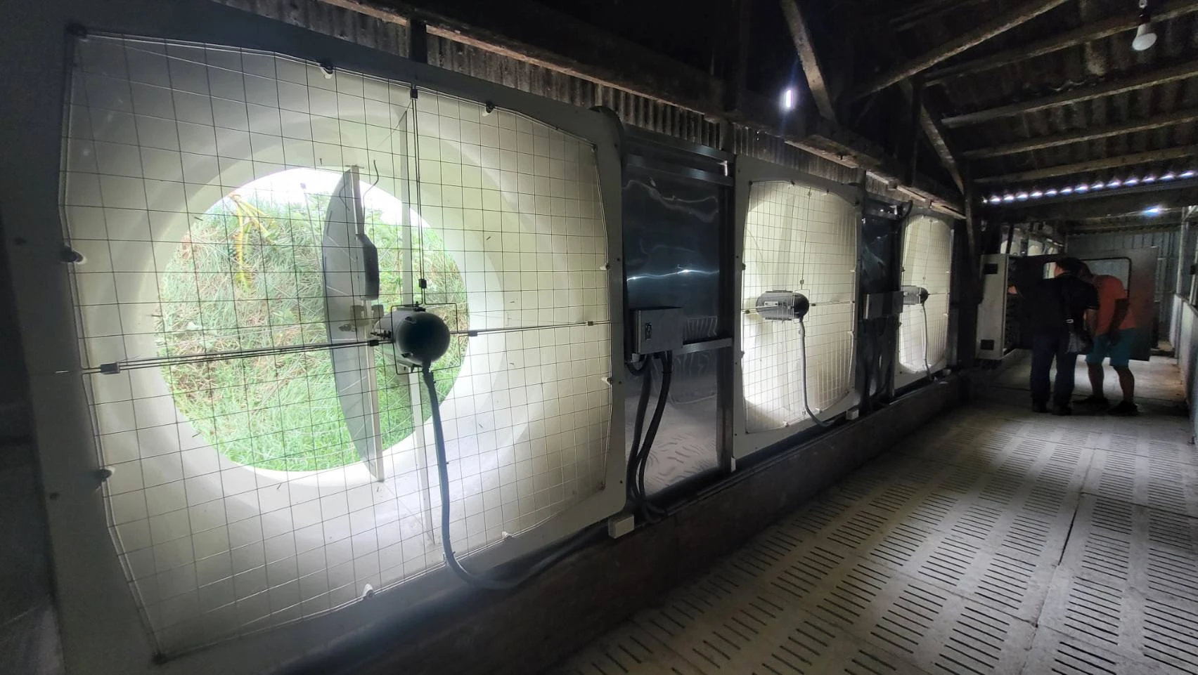 養豬場
