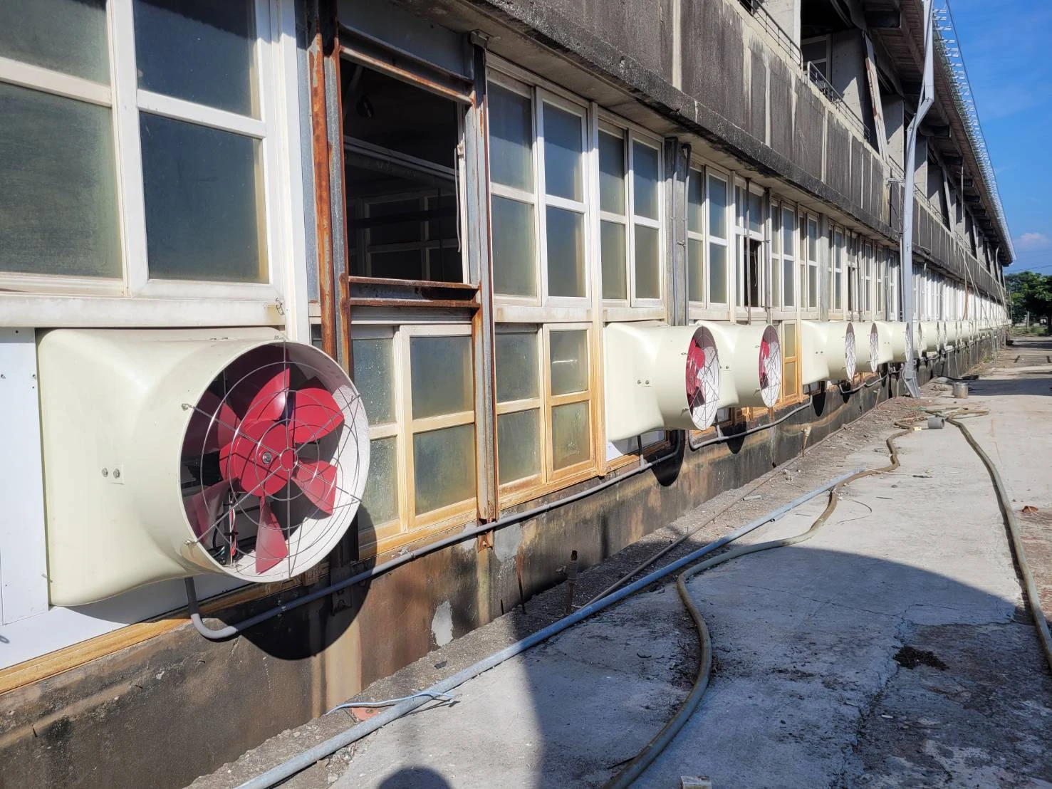養豬場