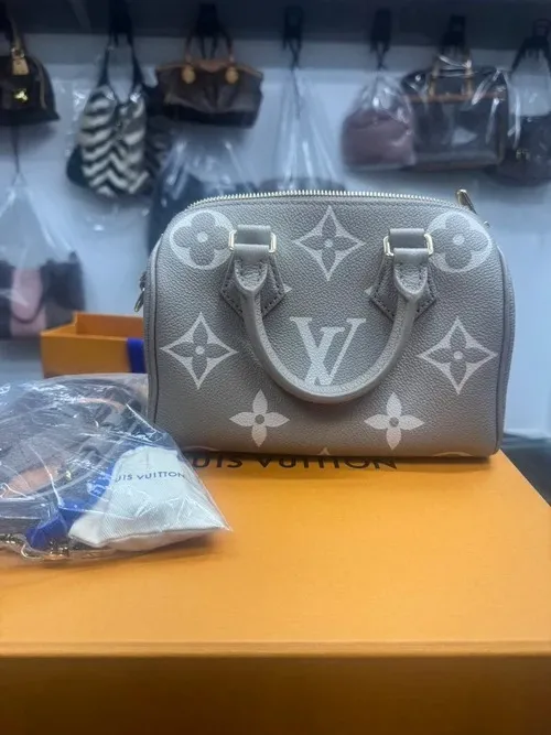 LV speedy20 晶片款 斑鳩灰