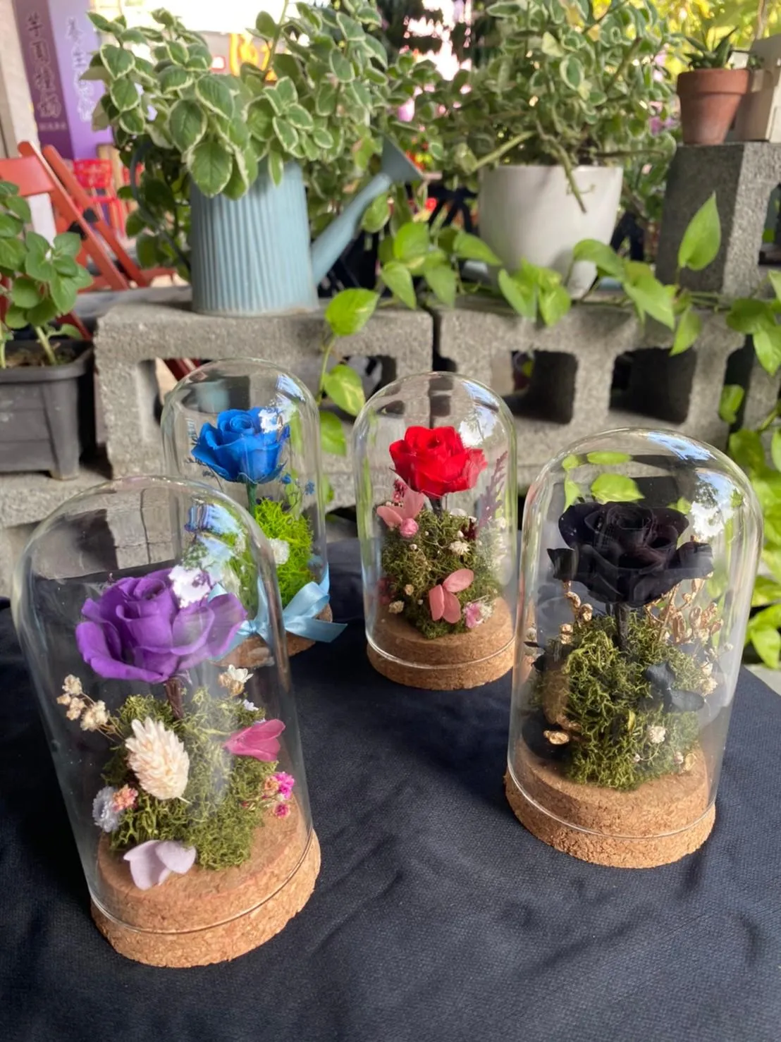 永生花玻璃罩系列(小)