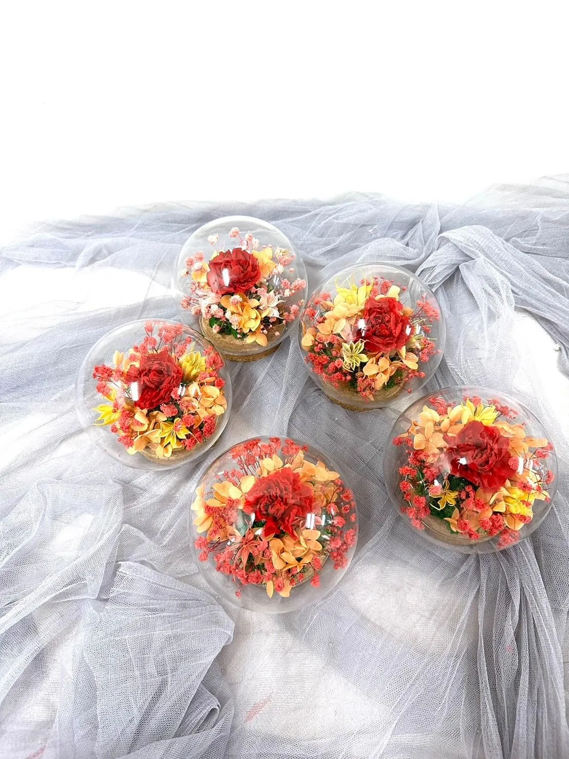 迷你康乃馨玻璃罩