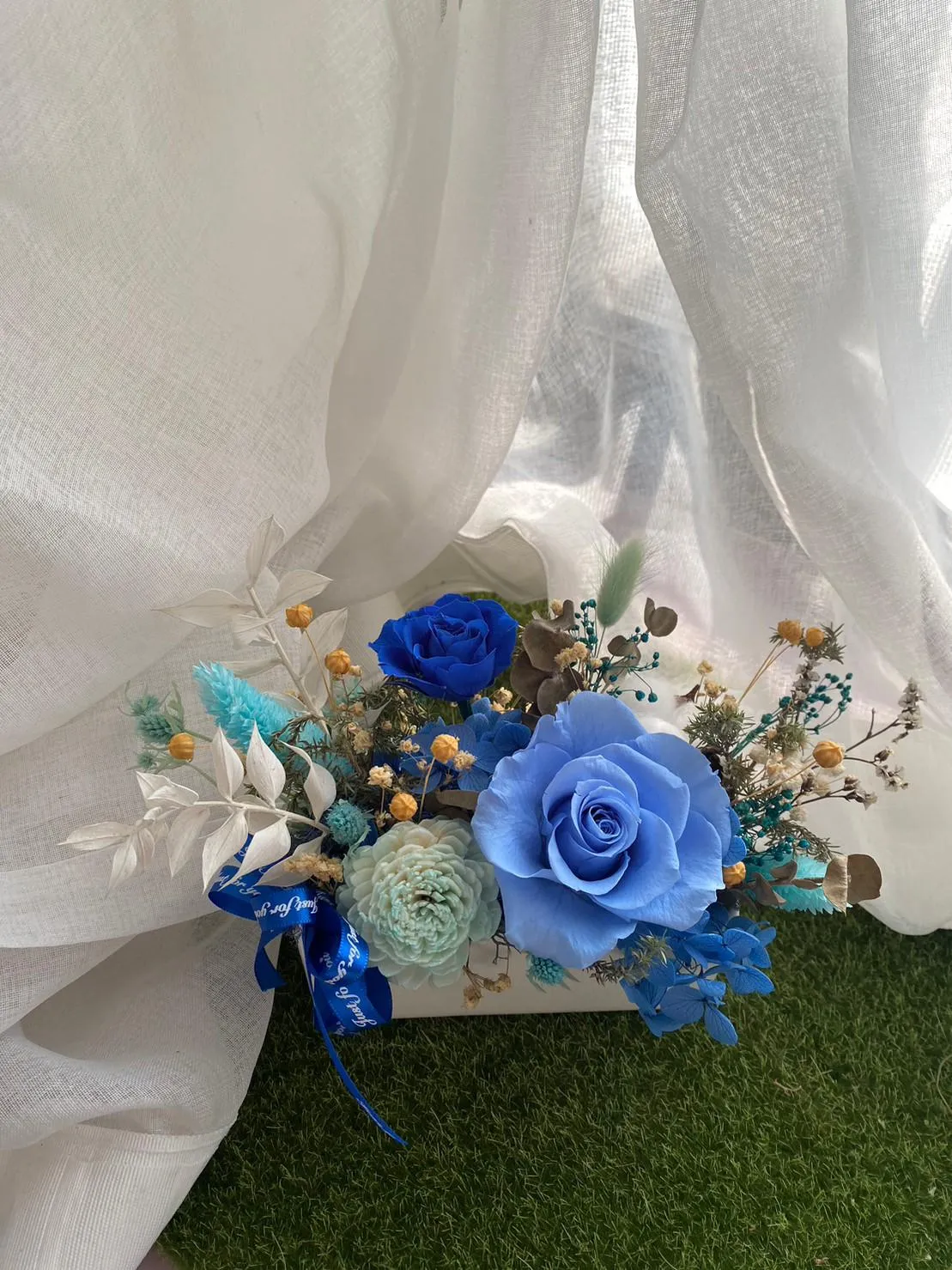 開幕 升遷 喬遷 盆花(長盆)