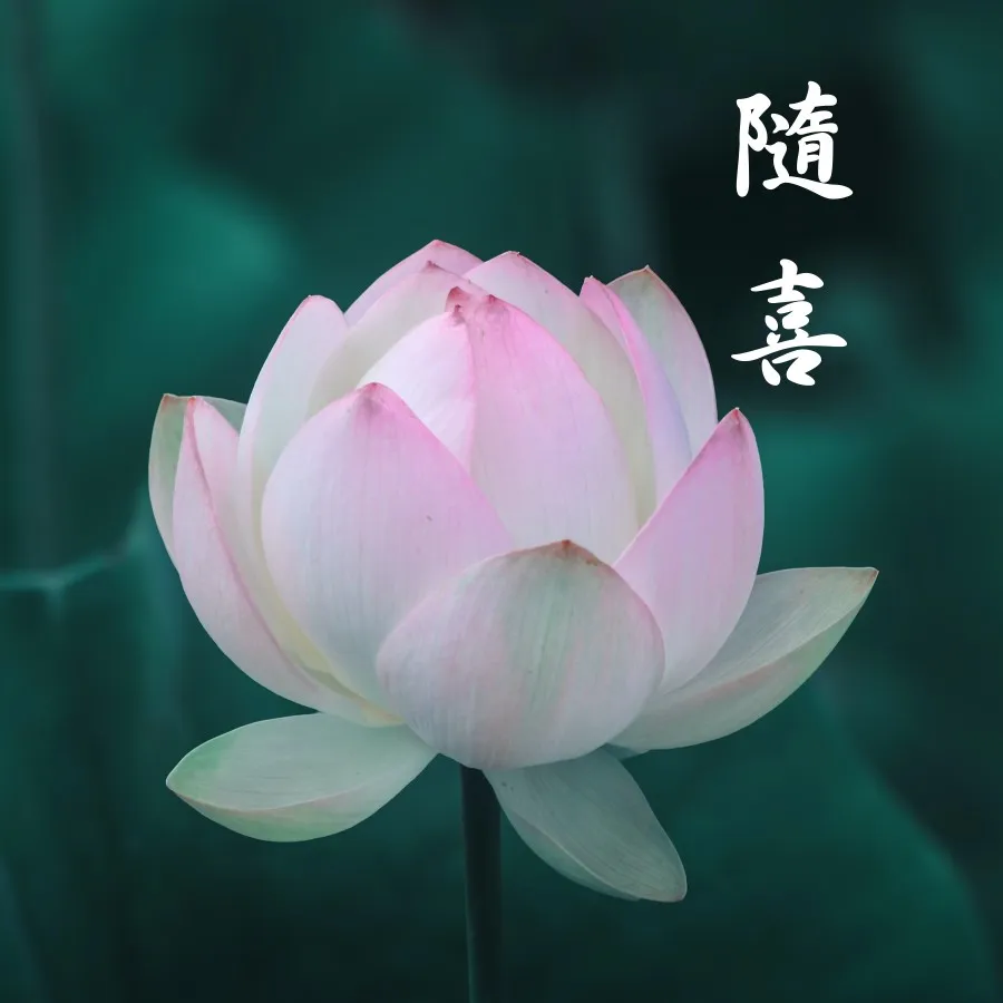 「公益隨喜」圓滿結束
