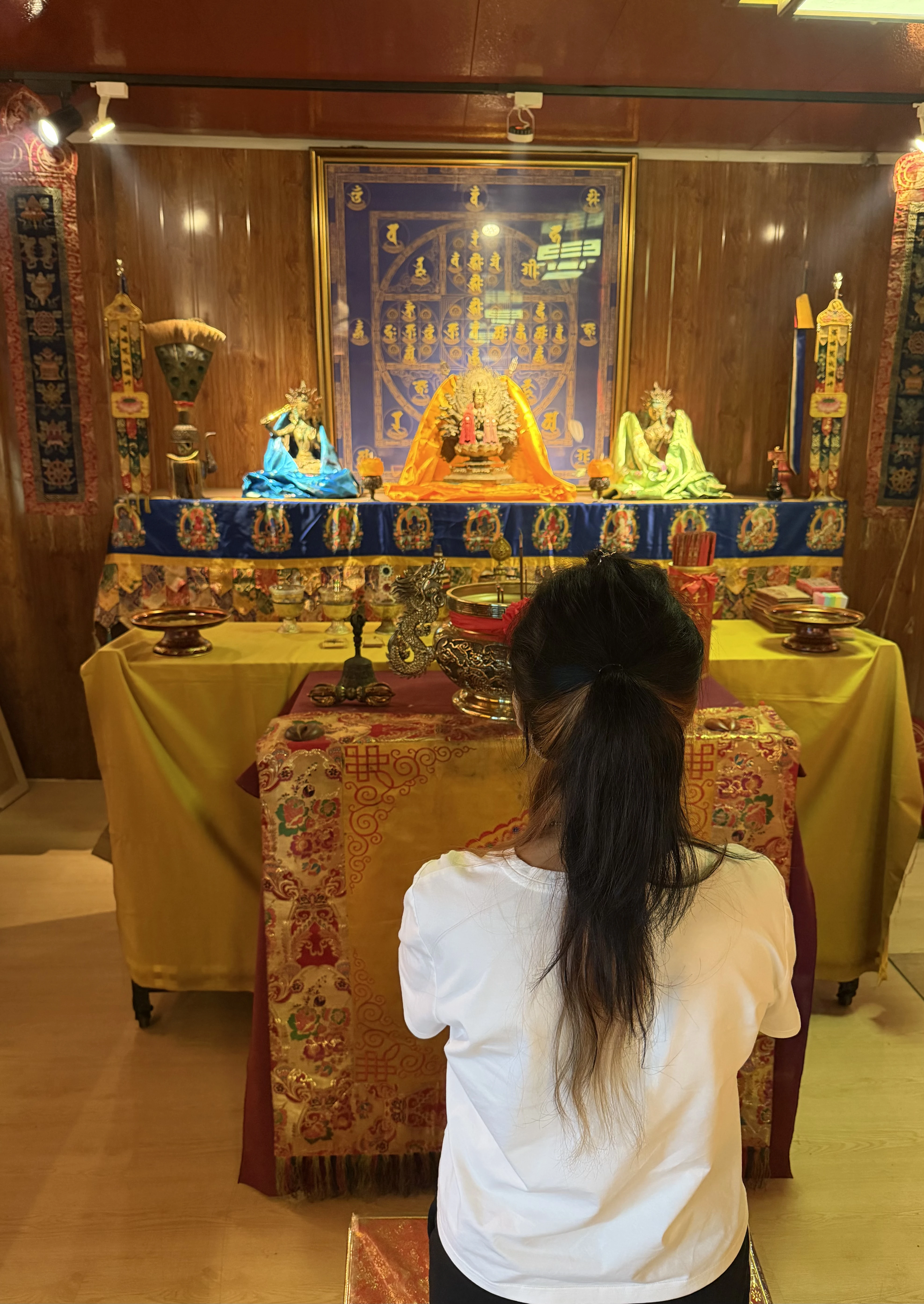 為了讓更多信眾在忙碌生活中也能與佛菩薩相應、獲得指引，本苑特別開放 「線上求籤」功能