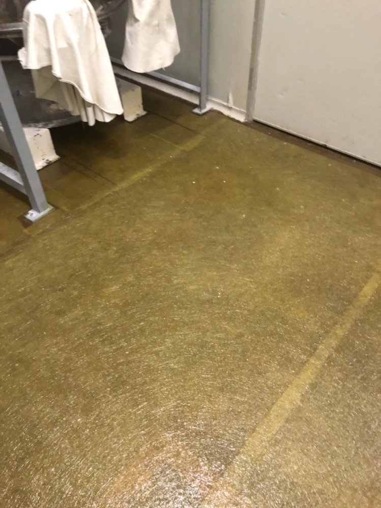 EPOXY FRP玻璃纖維鋪設