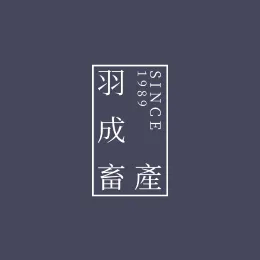有門市可以現場購買嗎?