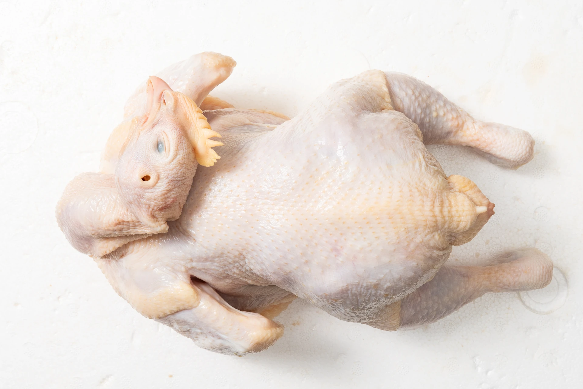 肉雞