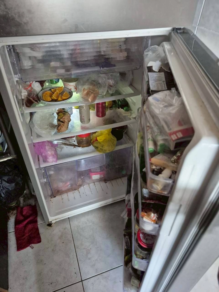 前鎮區育樂路生活廢棄物清除 拆除 打除工程