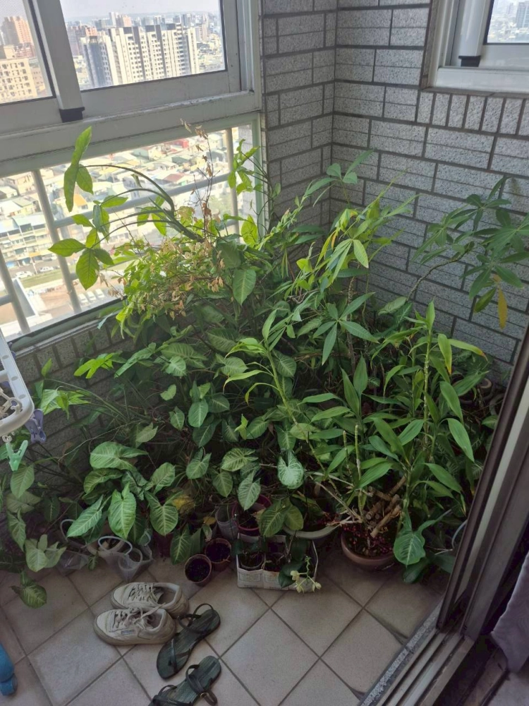 前鎮區育樂路生活廢棄物清除 拆除 打除工程