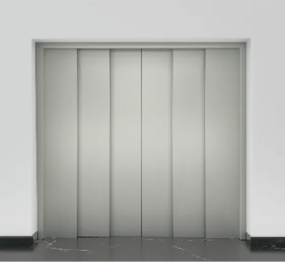 廳門｜六片門中央對開