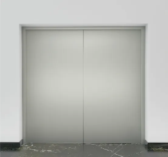 廳門｜兩片門中央對開