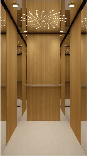  家用電梯車廂裝潢