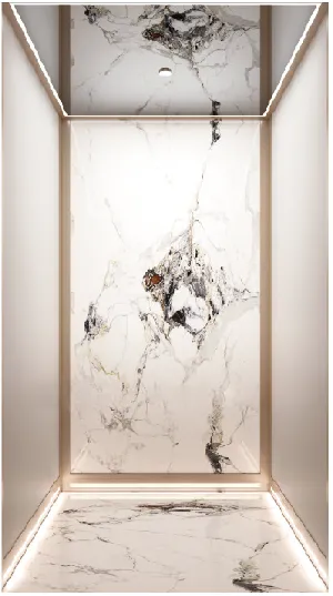  家用電梯車廂裝潢