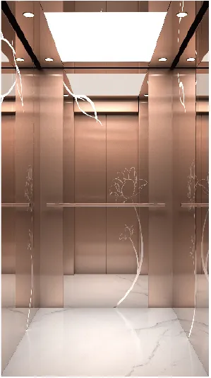  家用電梯車廂裝潢