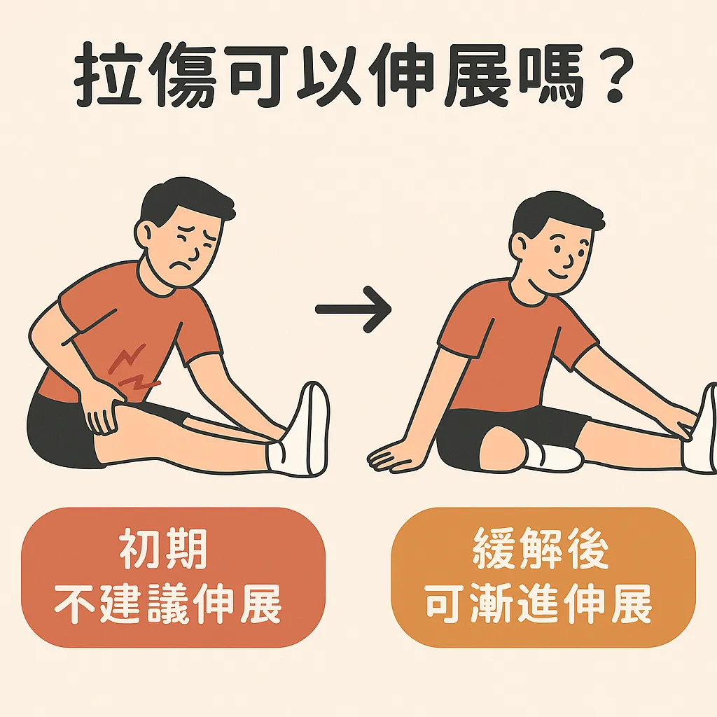 拉傷可以伸展嗎？台中運動按摩/北區運動按摩