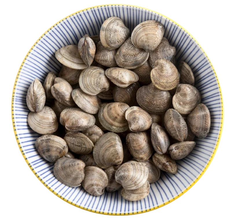 極鮮老大悠悠蛤蛤