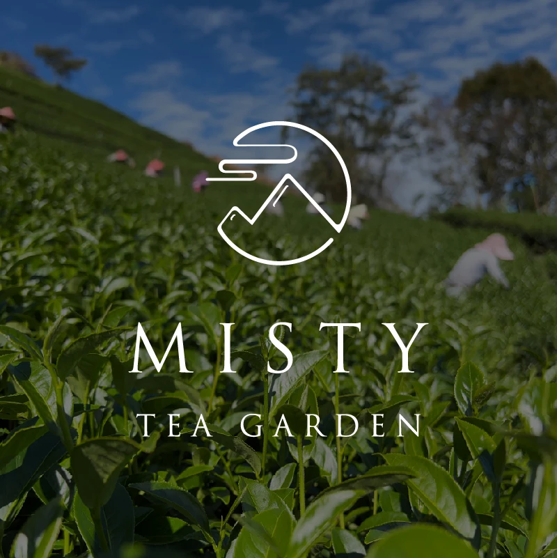 芸禎茶園｜官方網站即將全新上線！傳承自然純粹，開啟線上品茗體驗