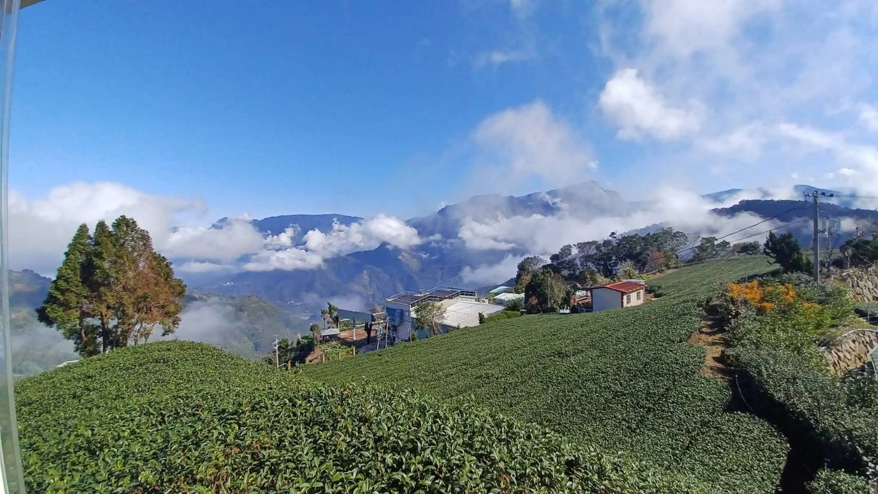 空腹可以喝茶嗎？