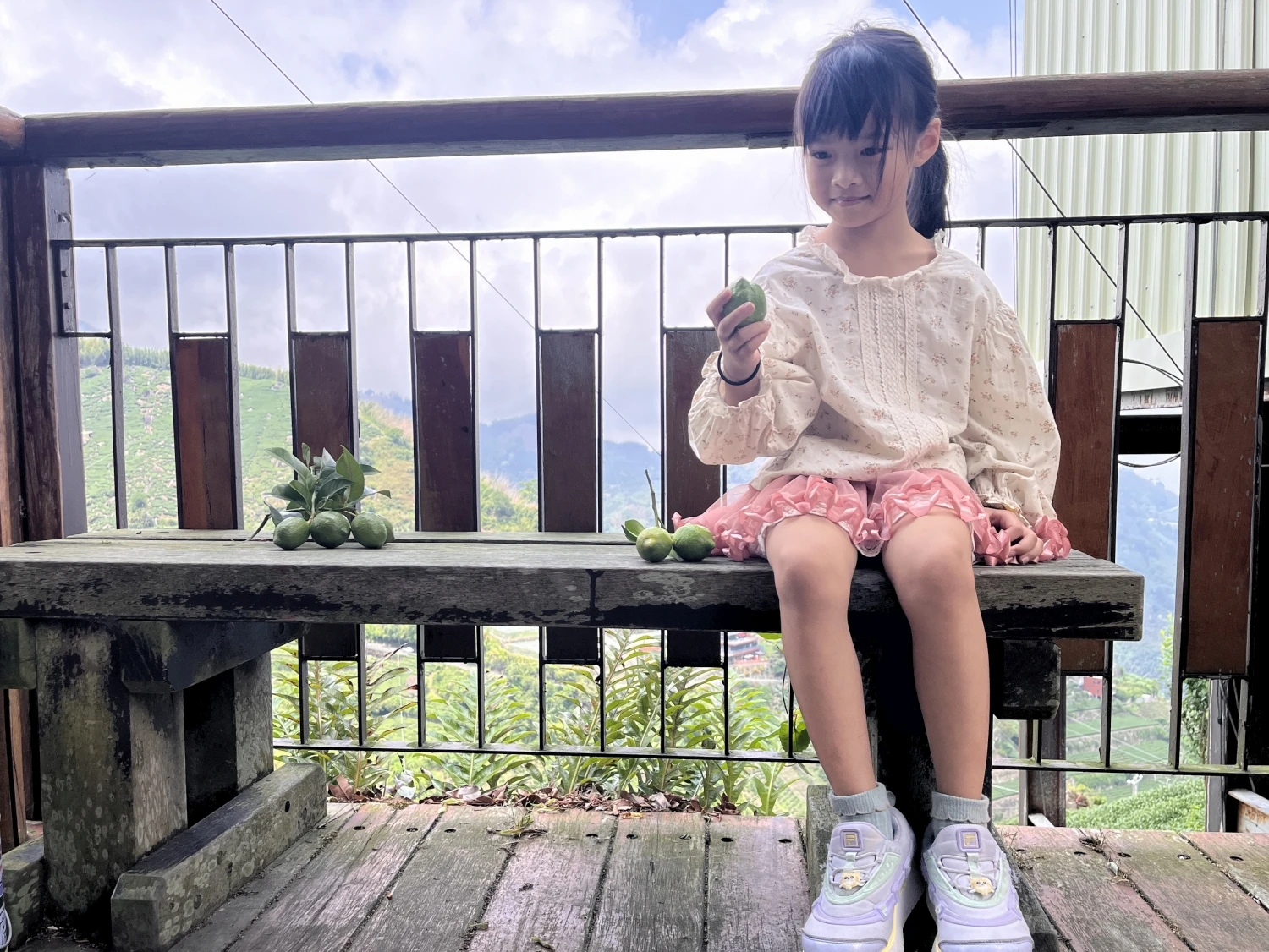 樟樹湖茶區拍攝