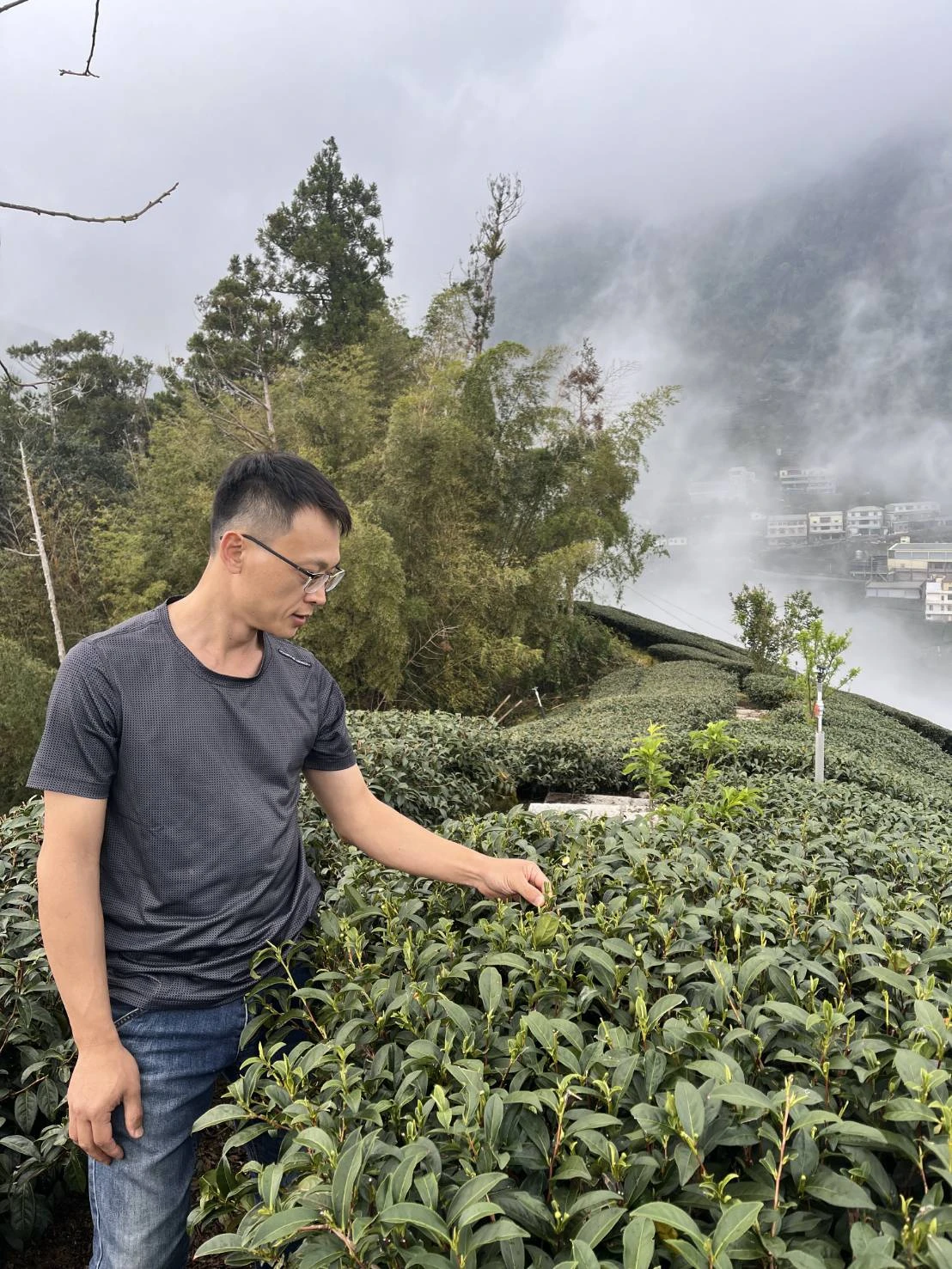 品茶日常