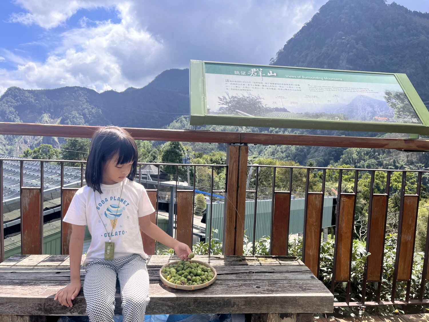 樟樹湖茶區拍攝