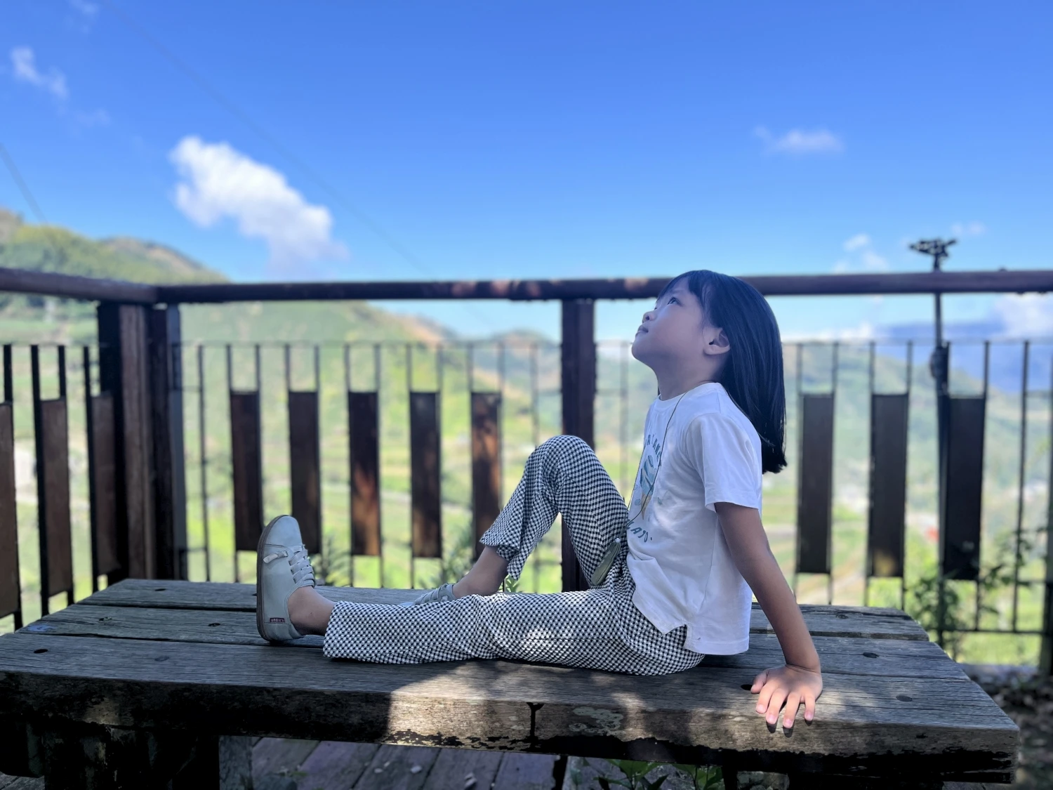 樟樹湖茶區拍攝
