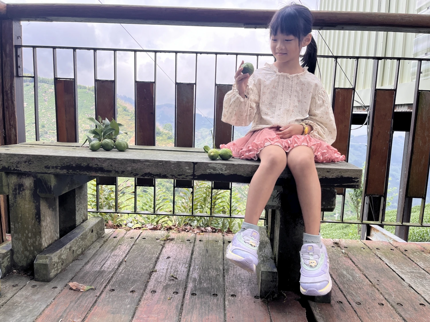 樟樹湖茶區拍攝