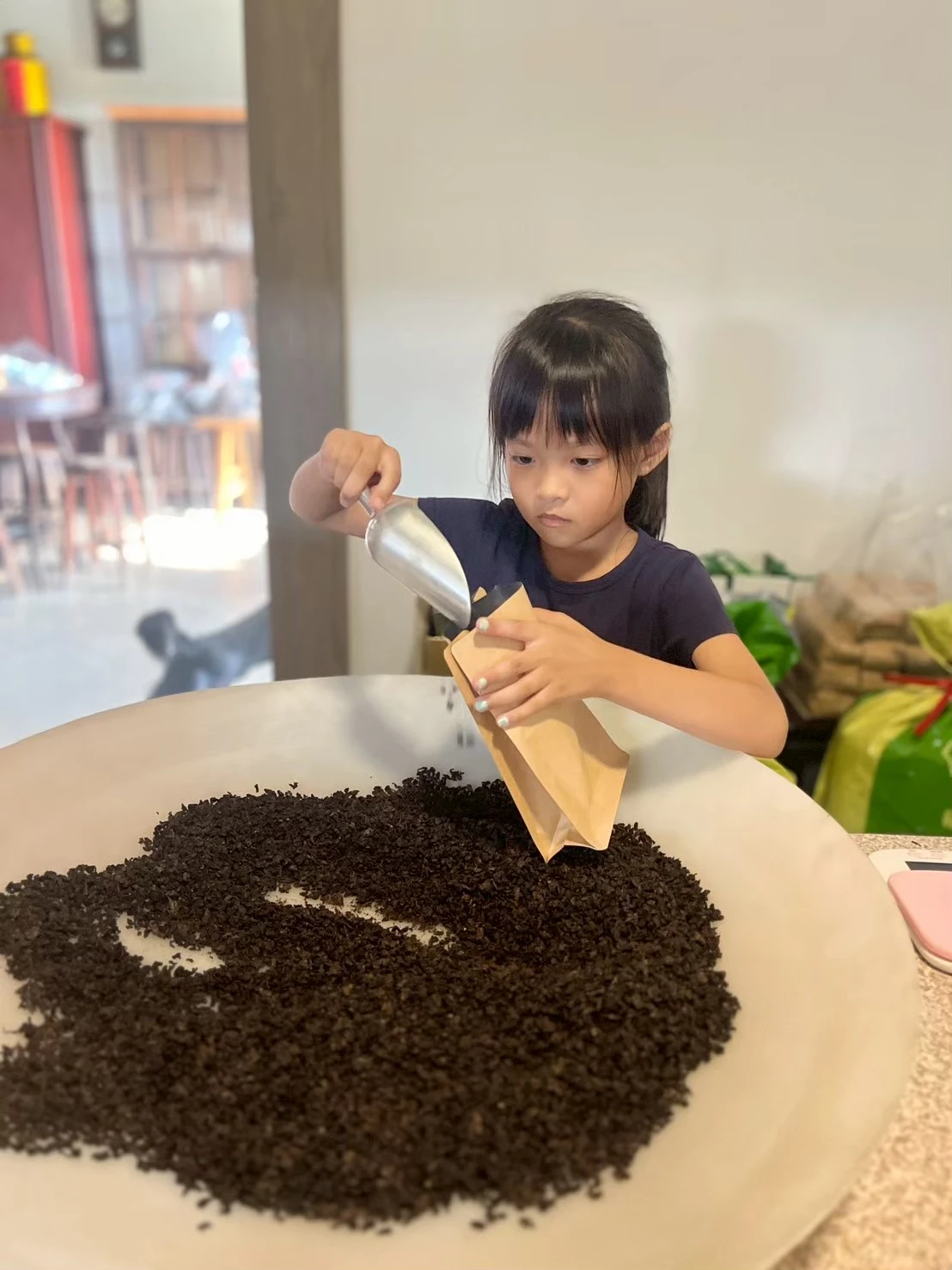 品茶日常