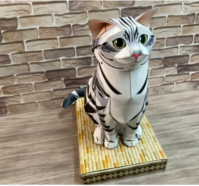 美國短毛貓