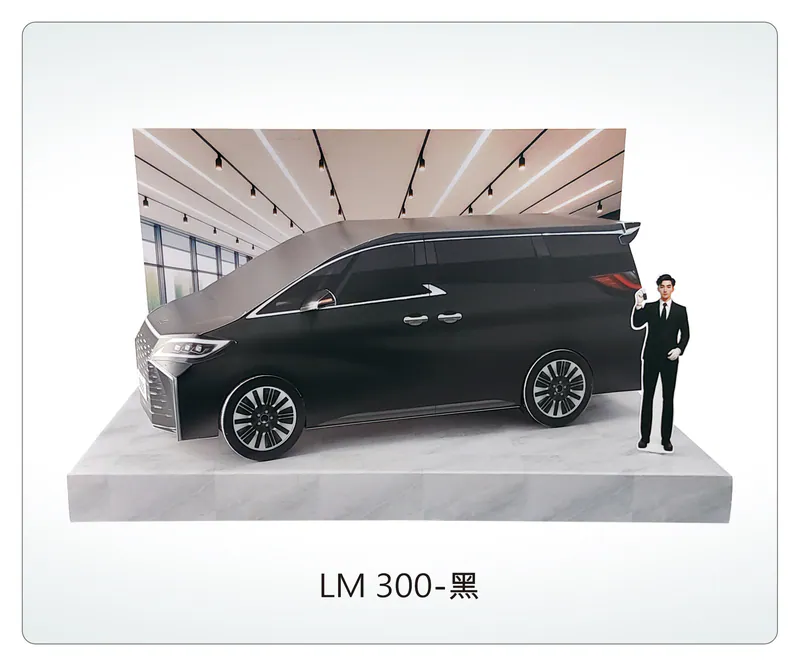 LM 300