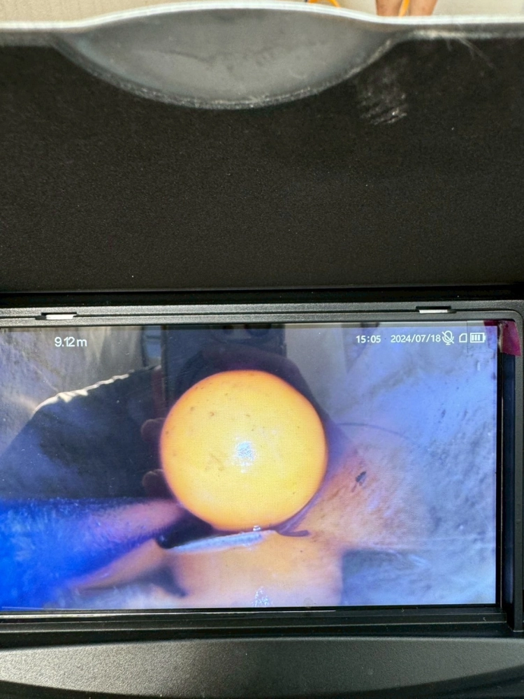 管路內視鏡檢測