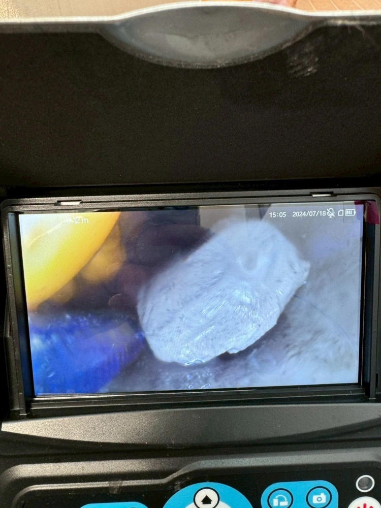管路內視鏡檢測