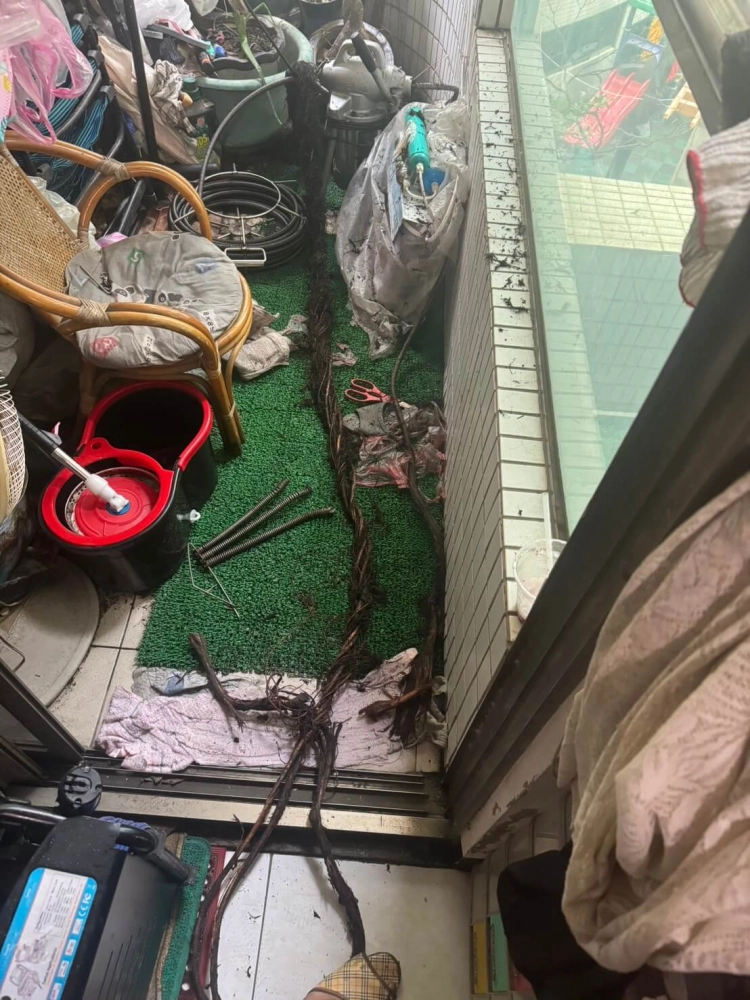 通水管