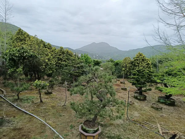 ＃蘆洲區露臺景觀設計