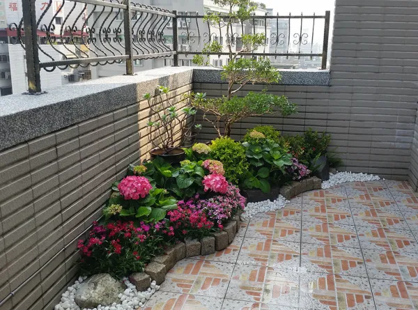 園藝植物精選