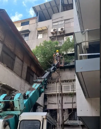 高空鋸樹修剪