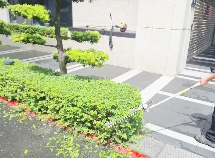 園藝養護及植栽