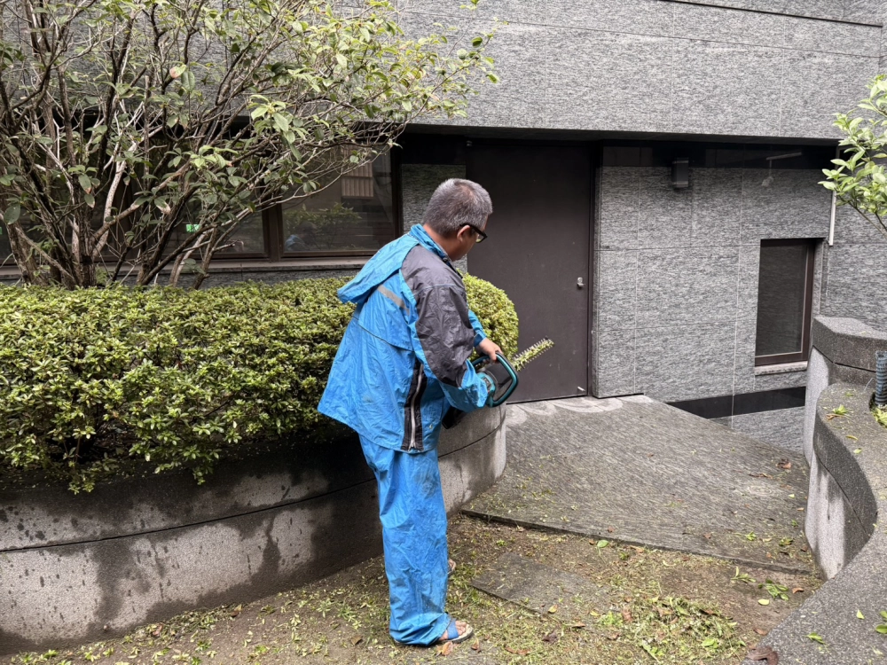 士林區後院園藝修剪保養