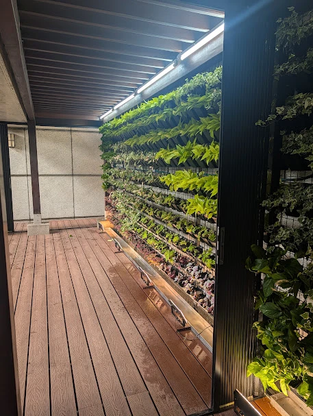 中正區塑木地板植生牆完成圖