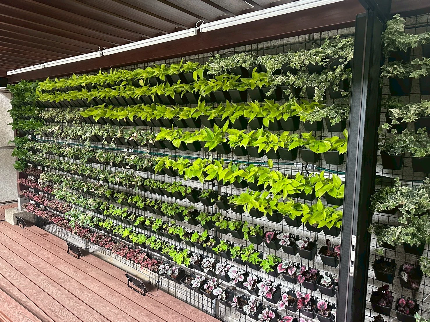 園藝及景觀設計｜社區景觀設計、植生牆施工、園藝工程