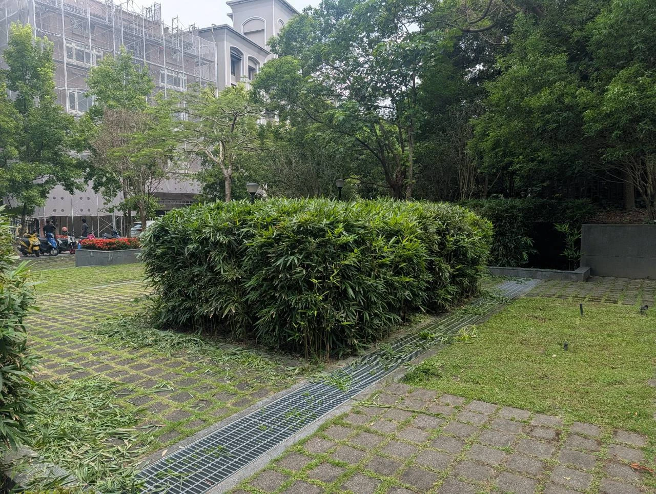 新北市淡水區八勢路社區園藝修剪保養