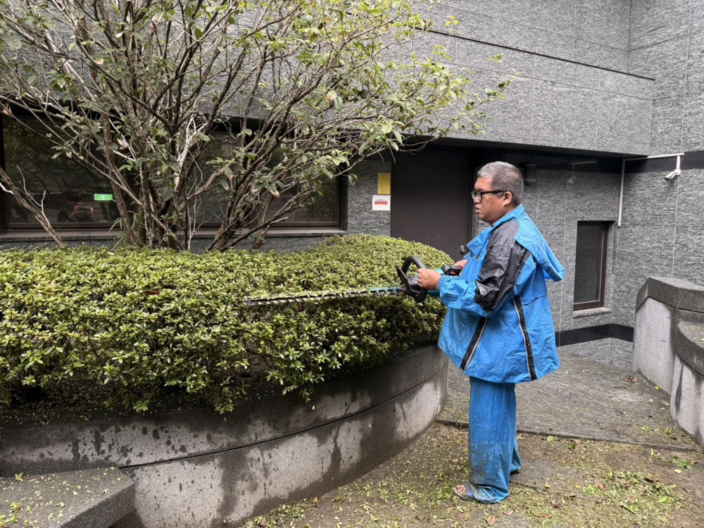 士林區後院園藝修剪保養