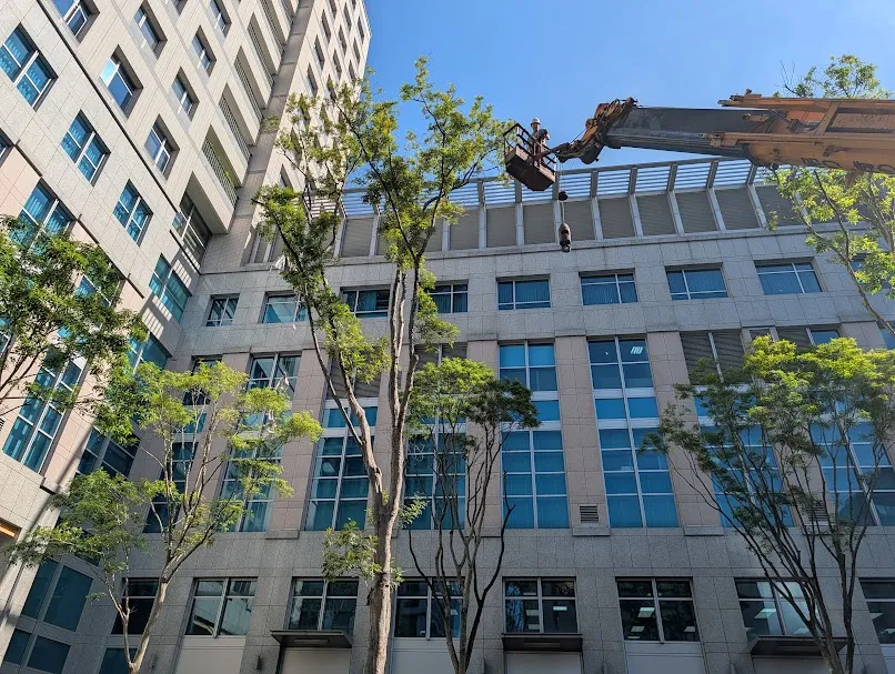 高空鋸樹修剪｜庭園維護、社區園藝保養、大樓園藝保養