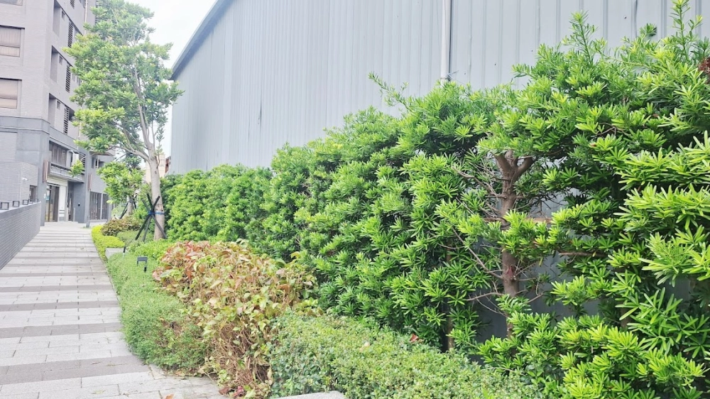 ＃中山區綠牆設計