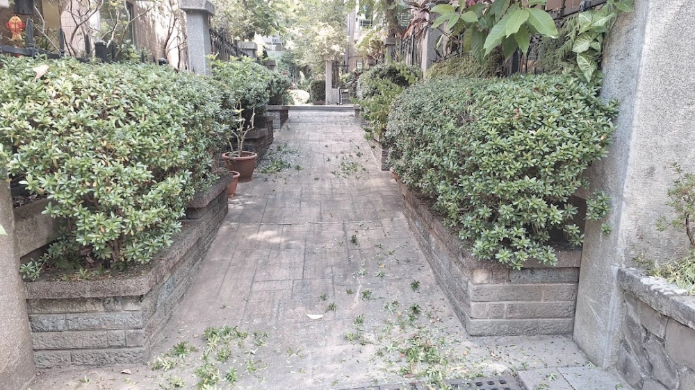 園藝養護及植栽｜庭園維護、園藝修剪、綠牆設計