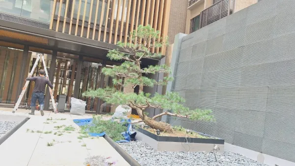 ＃中山區綠牆設計