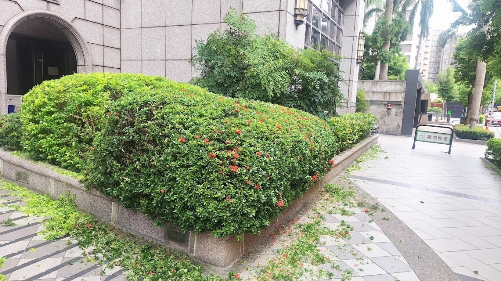 ＃中山區綠牆設計