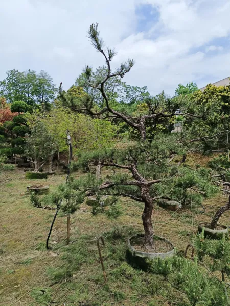 ＃文山區辦公室造景