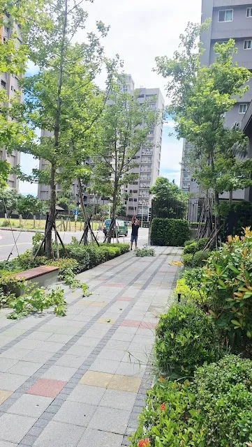 ＃文山區園藝修剪